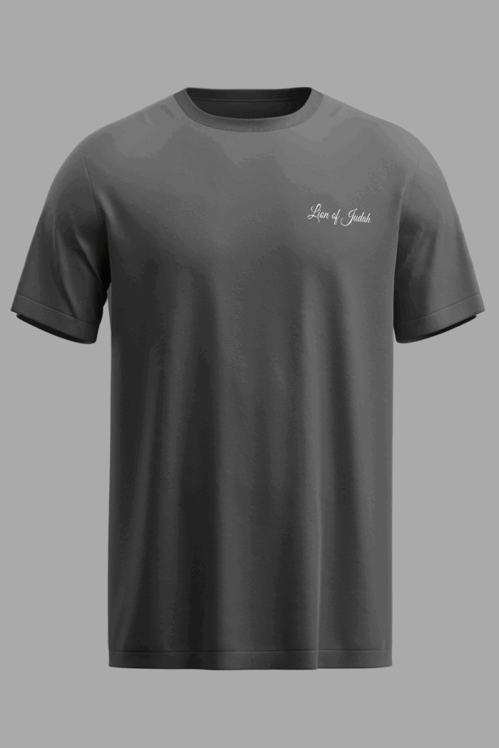 Camiseta Masculina Jesus Is King Cinza