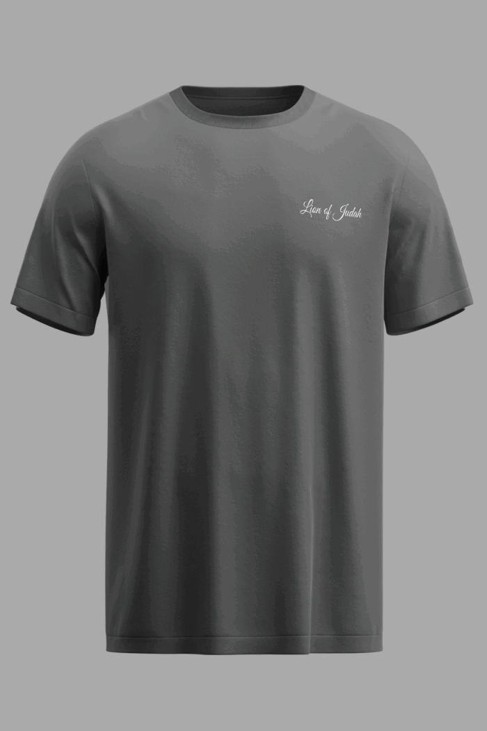 Camiseta Masculina Jesus Is King